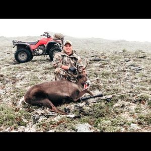 Meet your Posher, William